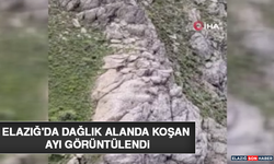 Elazığ'da Dağlık Alanda Koşan Ayı Görüntülendi