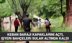 Keban Barajı Kapaklarını Açtı, İşyeri Bahçeleri Sular Altında Kaldı