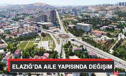 Elazığ’da Aile Yapısında Değişim