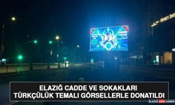 Elazığ Cadde ve Sokakları Türkçülük Temalı Görsellerle Donatıldı