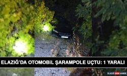 Elazığ’da Otomobil Şarampole Uçtu: 1 Yaralı