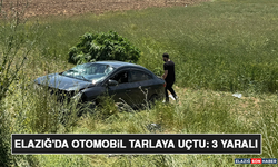 Elazığ'da Otomobil Tarlaya Uçtu: 3 Yaralı