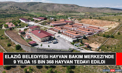 Elazığ Belediyesi Hayvan Bakım Merkezi'nde 9 Yılda 15 Bin 368 Hayvan Tedavi Edildi