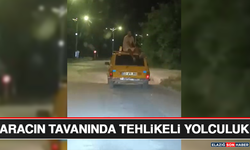 Aracın Tavanında Tehlikeli Yolculuk