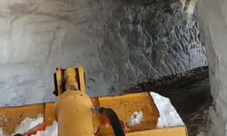 Bingöl'de haziranda da karla mücadele çalışmaları sürüyor