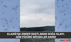 Elazığ’da Ender Rastlanan Doğa Olayı: Gökyüzünü Böcekler Sardı