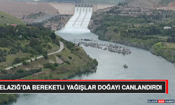 Elazığ’da Bereketli Yağışlar Doğayı Canlandırdı