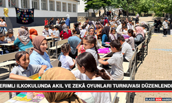 Erimli İlkokulunda Akıl ve Zekâ Oyunları Turnuvası Düzenlendi