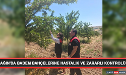Ağın'da Badem Bahçelerine Hastalık ve Zararlı Kontrolü