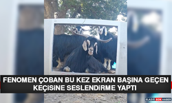 Fenomen Çoban Bu Kez Ekran Başına Geçen Keçisine Seslendirme Yaptı