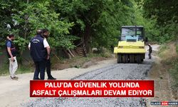 Palu’da Güvenlik Yolunda Asfalt Çalışmaları Devam Ediyor