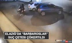 Elazığ’da “Barbaroslar” Suç Çetesi Çökertildi