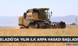 Elazığ'da Yılın İlk Arpa Hasadı Başladı