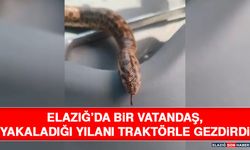 Elazığ’da Bir Vatandaş, Yakaladığı Yılanı Traktörle Gezdirdi
