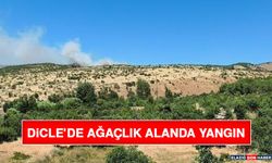 Dicle’de Ağaçlık Alanda Yangın