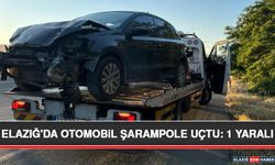 Elazığ'da Otomobil Şarampole Uçtu: 1 Yaralı