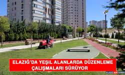 Elazığ’da Yeşil Alanlarda Düzenleme Çalışmaları Sürüyor