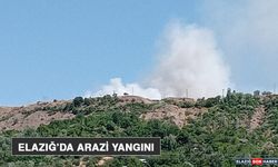 Elazığ’da Arazi Yangını
