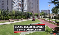 Elazığ Belediyesinden Çevre Düzenlemesi