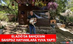 Elazığ’da Bahçesini Sahipsiz Hayvanlara Yuva Yaptı