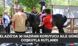 Elazığ'da 30 Haziran Koruyucu Aile Günü Coşkuyla Kutlandı