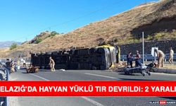 Elazığ'da Hayvan Yüklü Tır Devrildi: 2 Yaralı