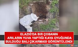 Elazığ'da Bir Çobanın Arıların Yuva Yaptığı Kaya Oyuğunda Bulduğu Balı Çıkarması Görüntülendi