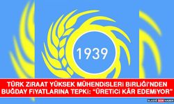 Türk Ziraat Yüksek Mühendisleri Birliği’nden Buğday Fiyatlarına Tepki: “Üretici Kâr Edemiyor”