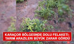 Karaçor Bölgesnde Dolu Felaketi: Tarım Arazileri Büyük Zarar Gördü
