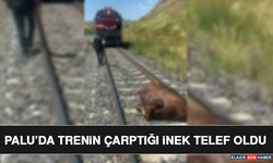 Palu’da Trenin Çarptığı İnek Telef Oldu