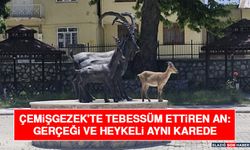 Çemişgezek'te Tebessüm Ettiren An: Gerçeği ve Heykeli Aynı Karede