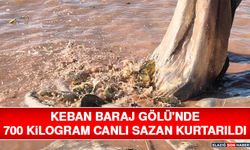 Keban Baraj Gölü'nde 700 Kilogram Canlı Sazan Kurtarıldı