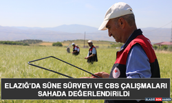 Elazığ’da Süne Sürveyi ve CBS Çalışmaları Sahada Değerlendirildi