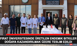 Fırat Üniversitesinde Üretilen Endemik Bitkiler Doğaya Kazandırılmak Üzere Teslim Edildi