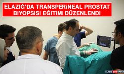 Elazığ’da Transperineal Prostat Biyopsisi Eğitimi Düzenlendi