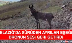 Elazığ’da Sürüden Ayrılan Eşeği Dronun Sesi Geri Getirdi