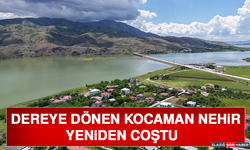 Dereye Dönen Kocaman Nehir Yeniden Coştu