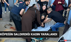 Köpeğin Saldırdığı Kadın Yaralandı