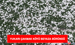 Yukarı Çakmak Köyü Beyaza Büründü