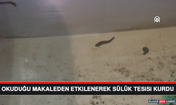 Okuduğu Makaleden Etkilenerek Sülük Tesisi Kurdu