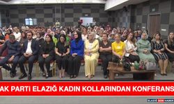 AK Parti Elazığ Kadın Kollarından Konferans