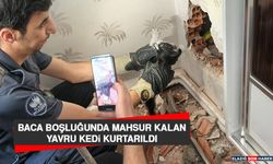 Baca Boşluğunda Mahsur Kalan Yavru Kedi Kurtarıldı