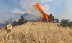 Bingöl'de orman yangını