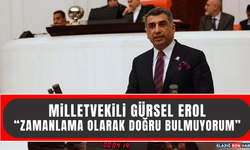 Milletvekili Erol “Zamanlama Olarak Doğru Bulmuyorum”