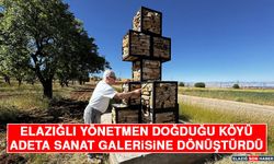 Elazığlı Yönetmen Doğduğu Köyü Adeta Sanat Galerisine Dönüştürdü