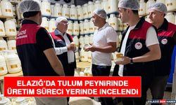 Elazığ’da Tulum Peynirinde Üretim Süreci Yerinde İncelendi