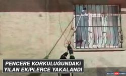 Pencere Korkuluğundaki Yılan Ekiplerce Yakalandı