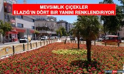 Mevsimlik Çiçekler Elazığ'ın Dört Bir Yanını Renklendiriyor