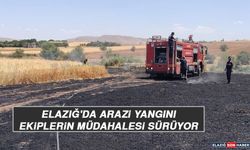 Elazığ'da Arazi Yangını Ekiplerin Müdahalesi Sürüyor
