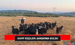 Kayıp Keçileri Jandarma Buldu